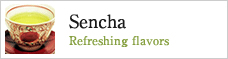 Sencha Refreshing flavors